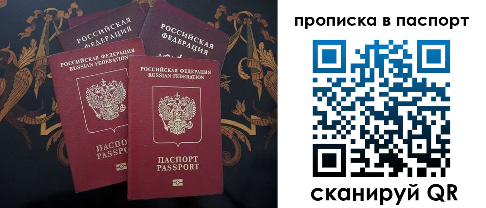 купить прописку в Чкаловске